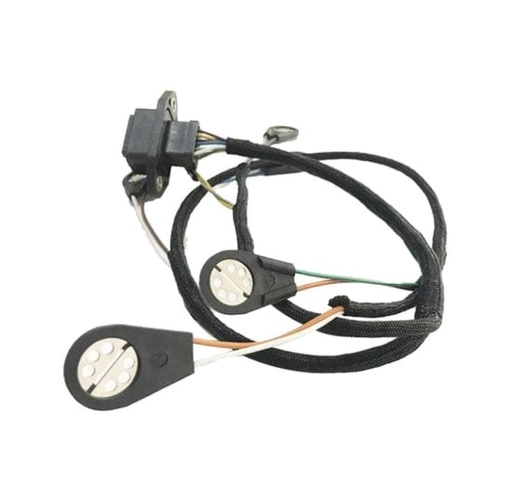 CONJUNTO ARNES DE INYECTOR